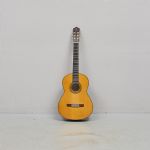 1273 5419 Gitarr
